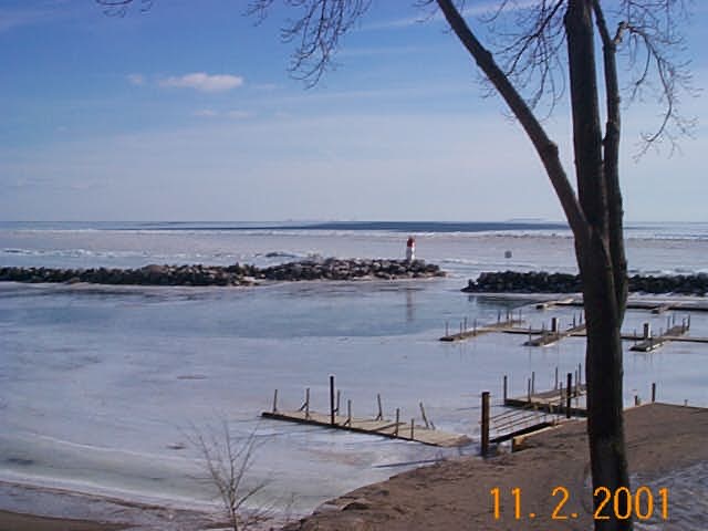 Lake Erie frozen at the shore, February 2001