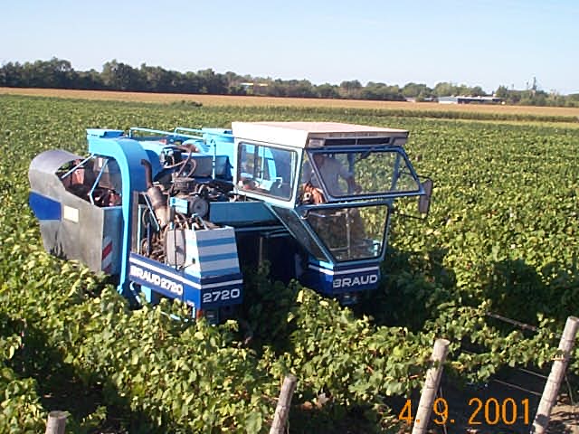 A mechanical grape harvester working a row, September 2001